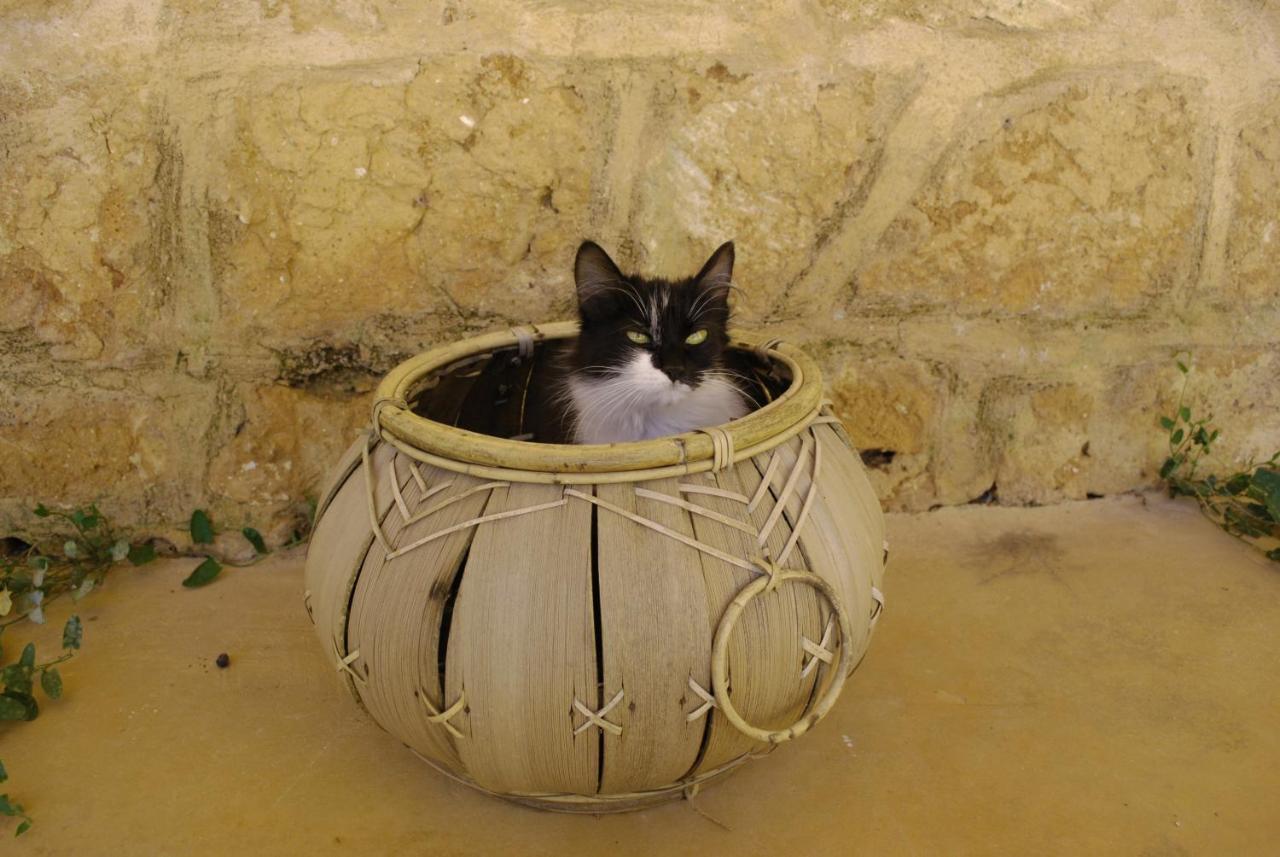 Masseria Galatea Agriturismo Alessano Luaran gambar